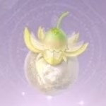 无限暖暖日光果获得方法(图2)