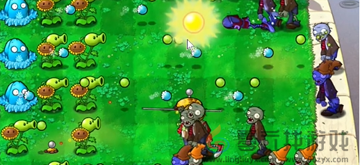 植物大战僵尸杂交版前院告急第四关如何速通(图6) 植物大战僵尸杂交版前院告急第四关如何速通(图6)