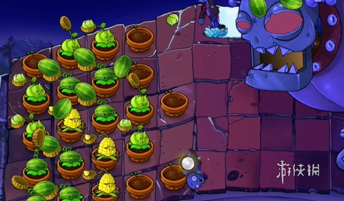 植物大战僵尸精华版冒险模式5-10怎么过(图6) 植物大战僵尸精华版冒险模式5-10怎么过(图6)