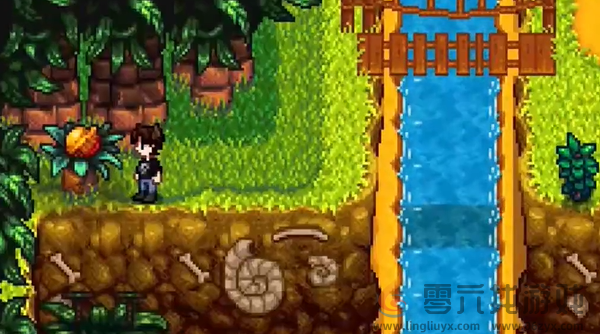 星露谷物语姜岛北部金核桃在哪(图7) 星露谷物语姜岛北部金核桃在哪(图7)