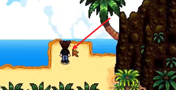 星露谷物语姜岛北部金核桃在哪(图10) 星露谷物语姜岛北部金核桃在哪(图10)