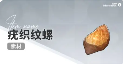 开放空间赶海物什么时候出现(图4)