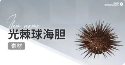 开放空间赶海物什么时候出现(图20)