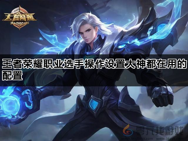 王者荣耀职业选手操作设置大神都在用的配置(图1)